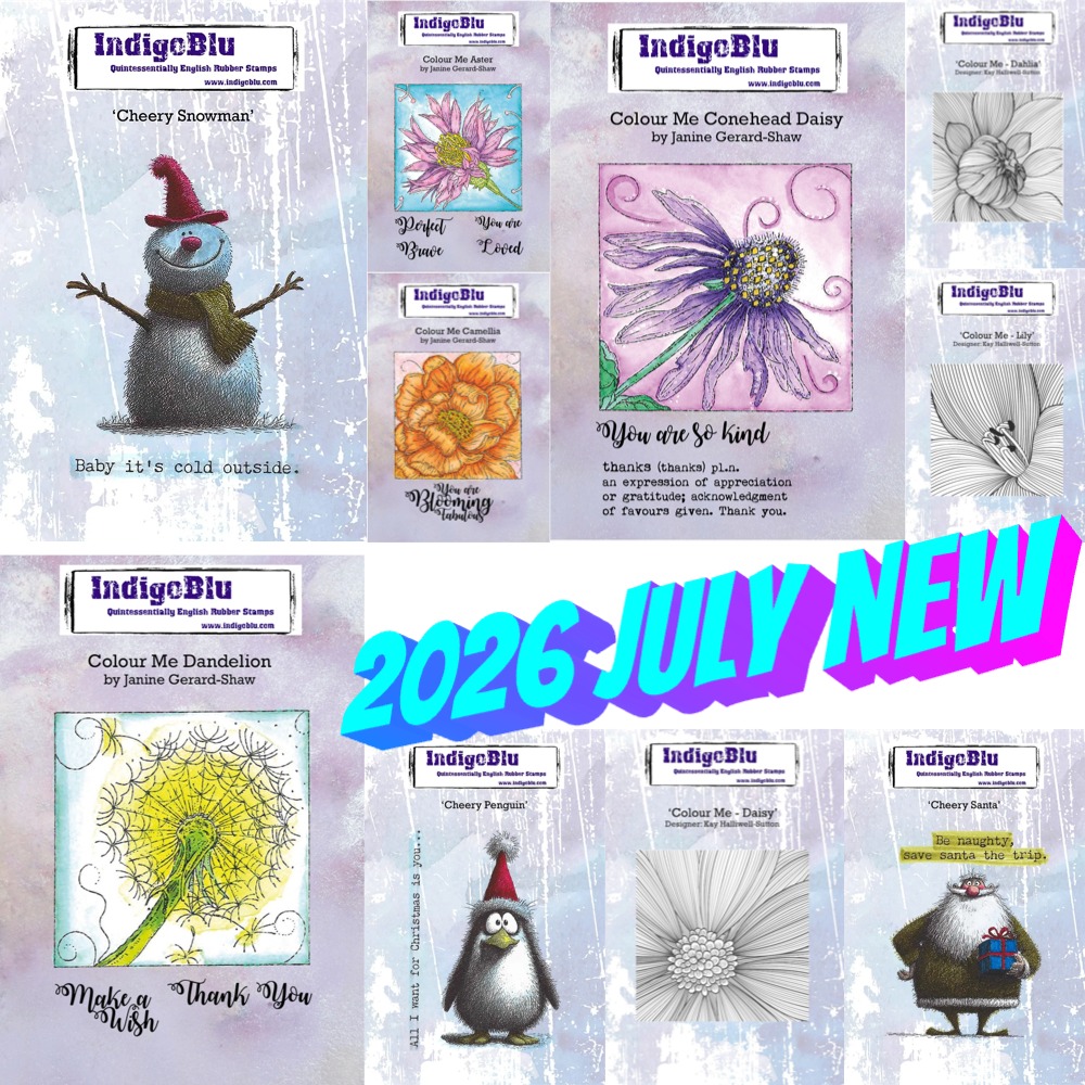 Rubber Stamp Blank - 2026 July New Aster Flower Image