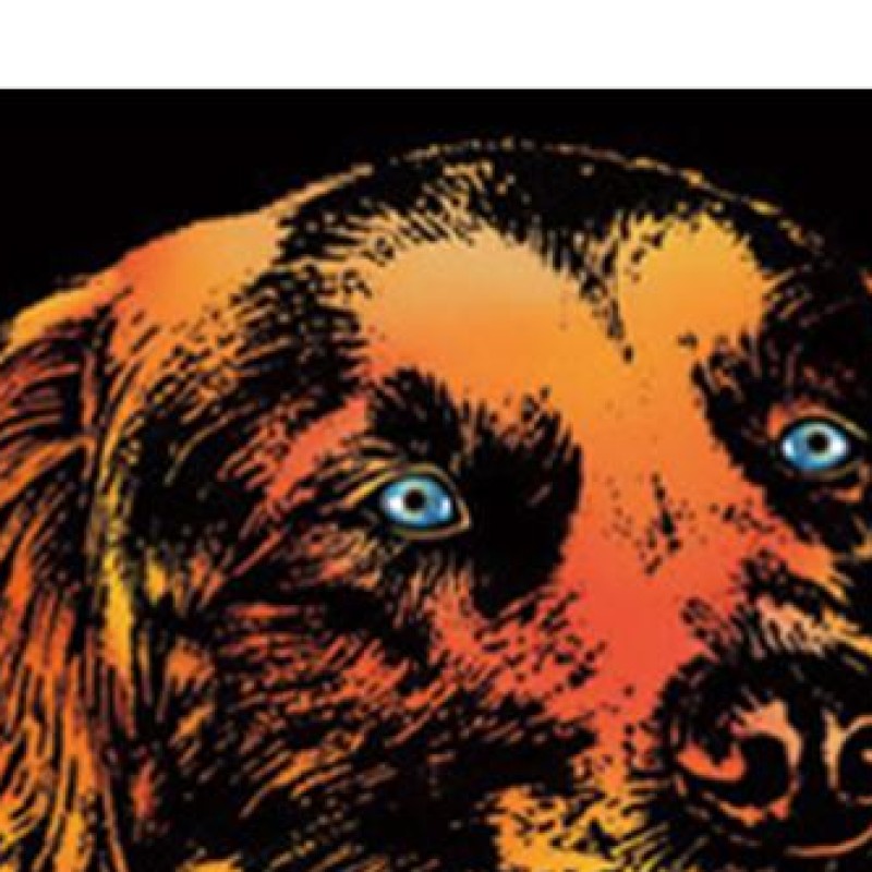 Animals Scratch Art for Teen & - đánh giá và giá Art And Craft With Paint