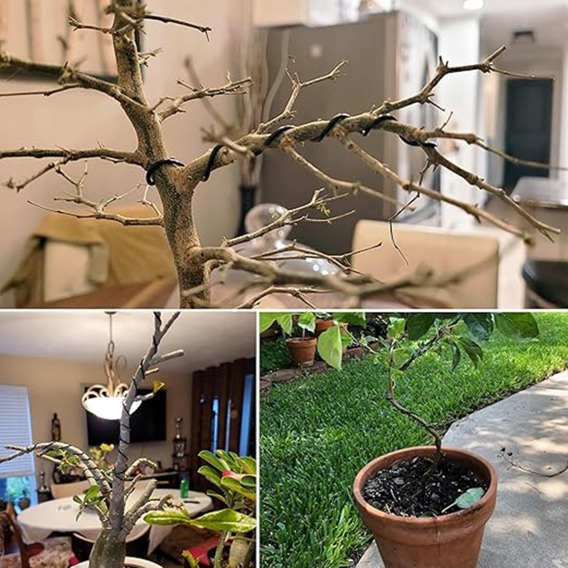 1mm Black Aluminum Bonsai Wire - đánh giá và giá Art Craft Wire